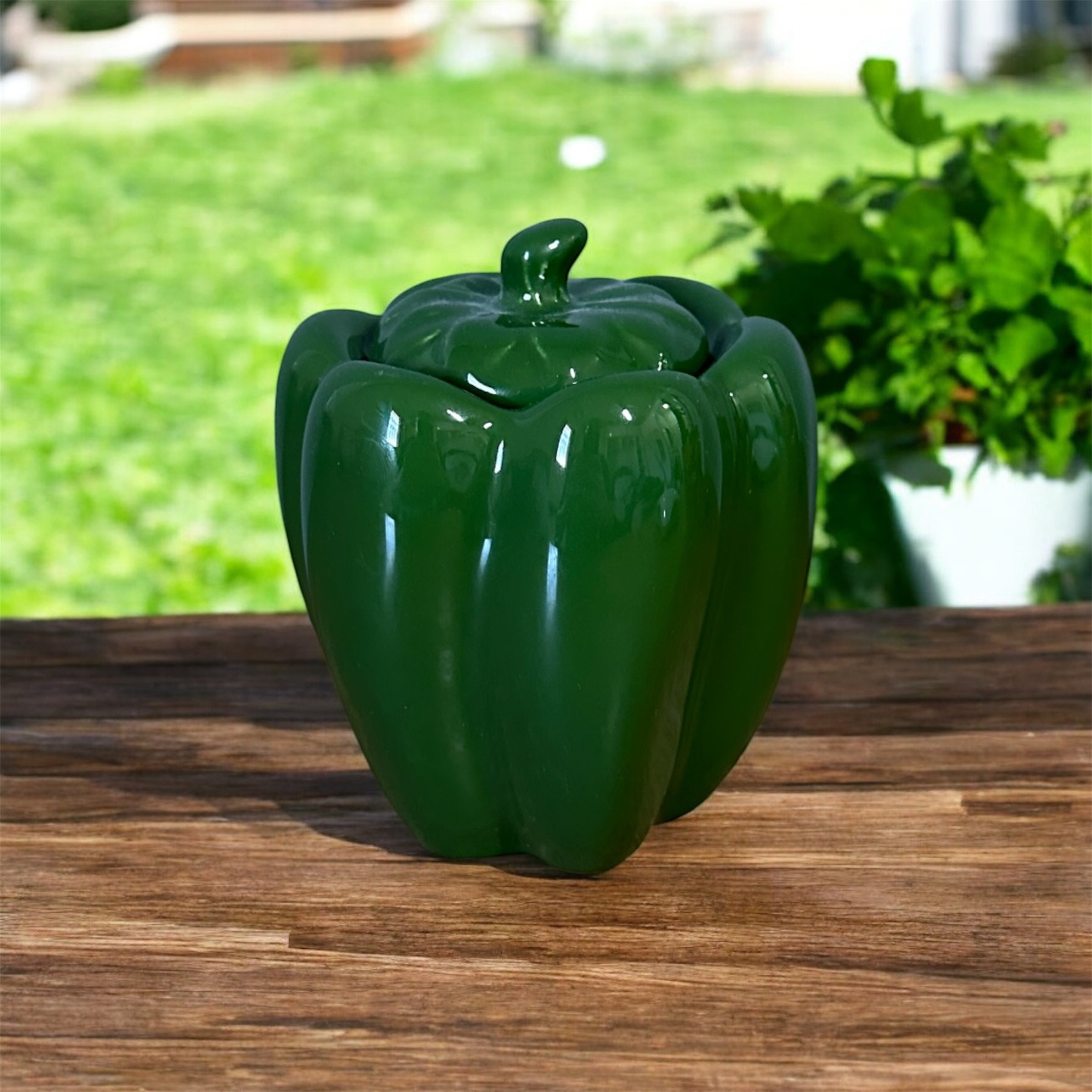 Pimentão Porta Tempero Verde Escuro